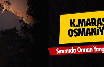 Osmaniye-Kahramanmaraş Sınırında Orman Yangını