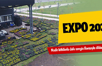 EXPO 2023, nadir bitkilerle dolu zengin florasıyla...