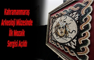 Kahramanmaraş Arkeoloji Müzesinde İlk Mozaik Sergisi...