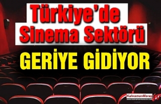 Türkiye’deki Sinema Sektörü